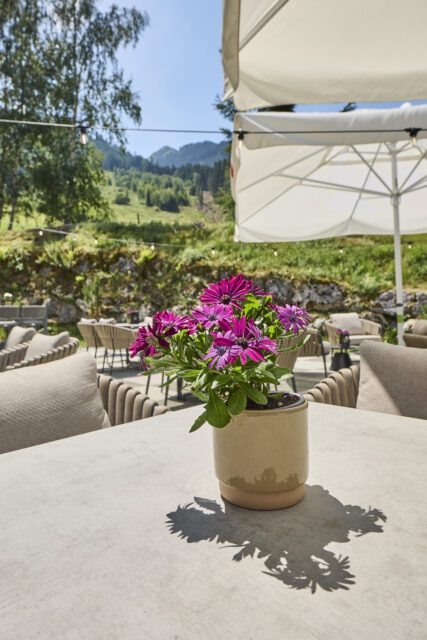 aussen_terrasse_mit_blume_0K3A0945